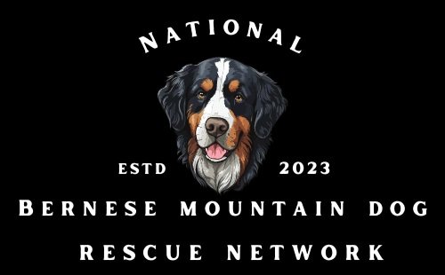Bernese Mountain Dog Rescue Network